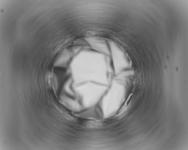 X0000075360094200609291512