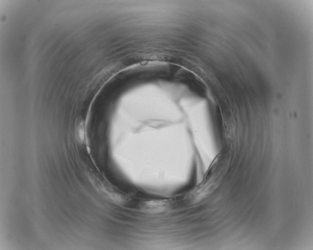 X0000075360095200609291512