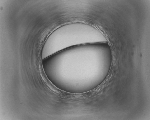 X0000075360097200609291511