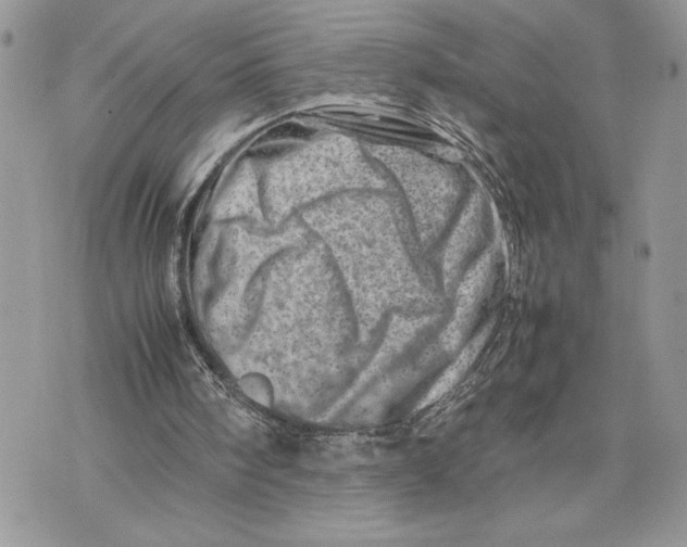 X0000075360098200609291511