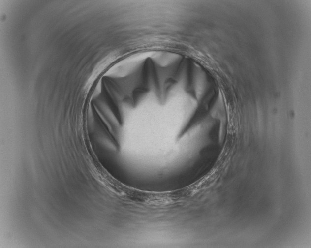 X0000075360099200609291511