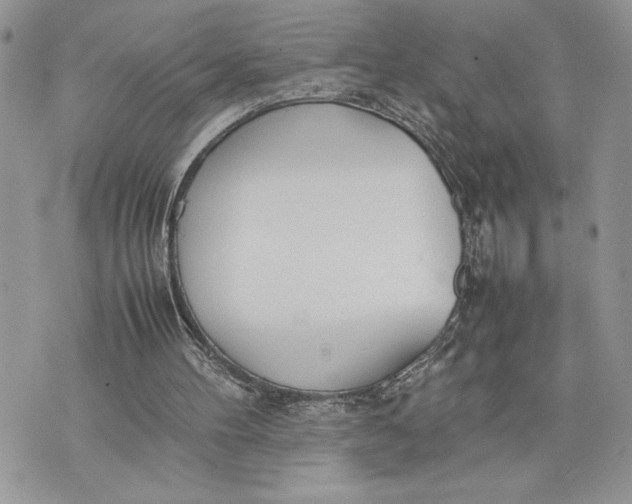 X0000075360100200609291511