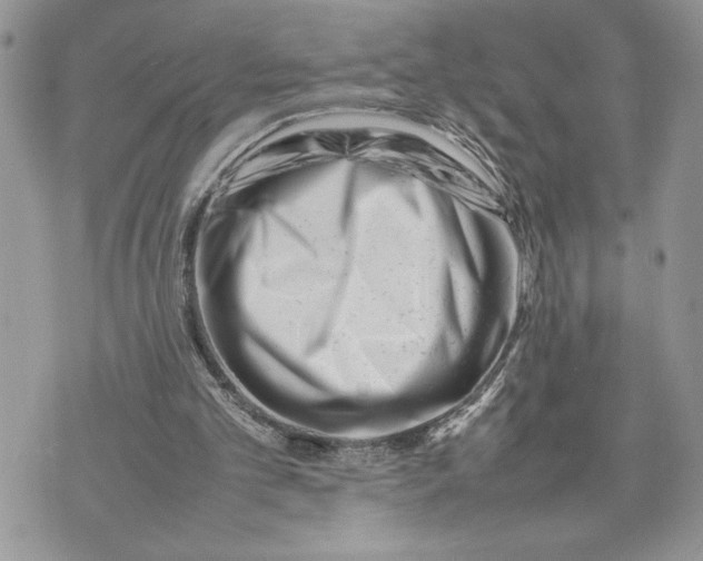 X0000075360101200609291511