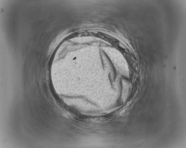 X0000075360103200609291511