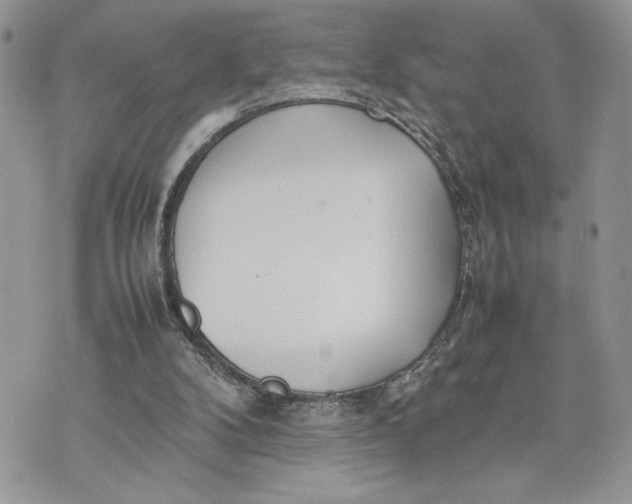 X0000075360104200609291511