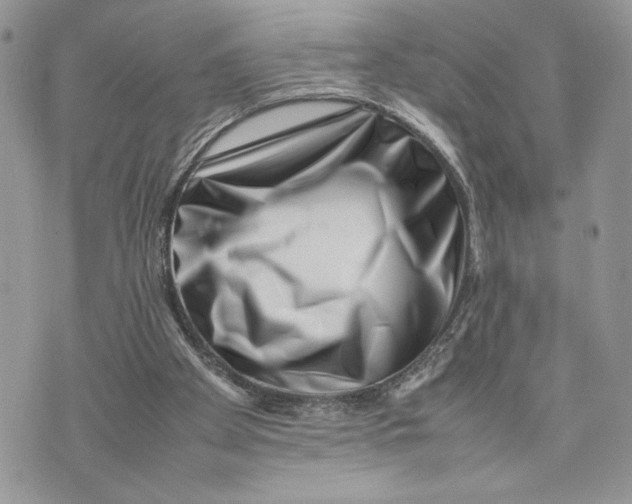 X0000075360105200609291511