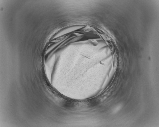 X0000075360107200609291511