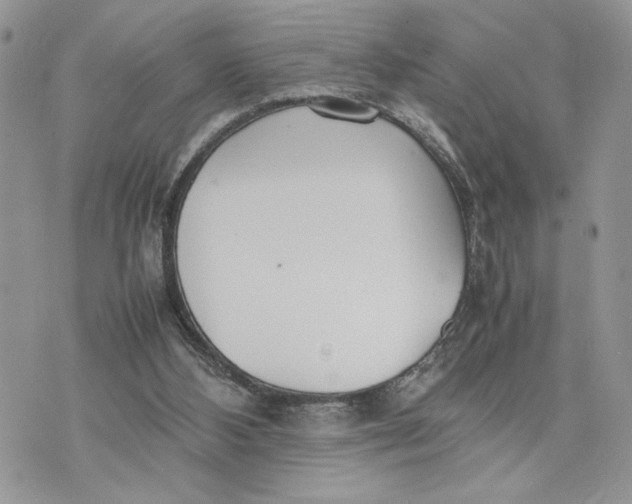 X0000075360108200609291511