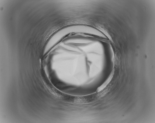 X0000075360109200609291511