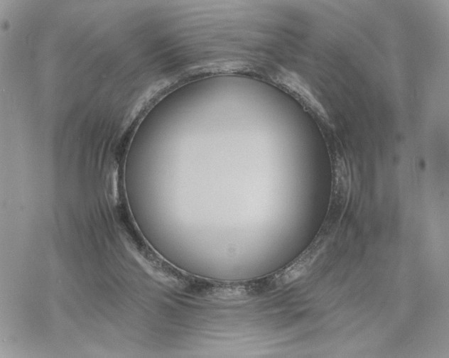 X0000075360110200609291511