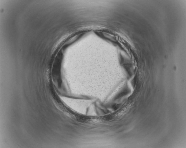 X0000075360111200609291511