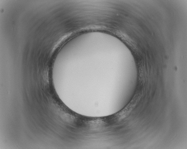 X0000075360112200609291511