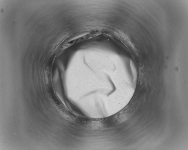 X0000075360114200609291511