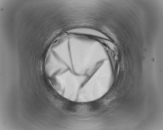 X0000075360115200609291511