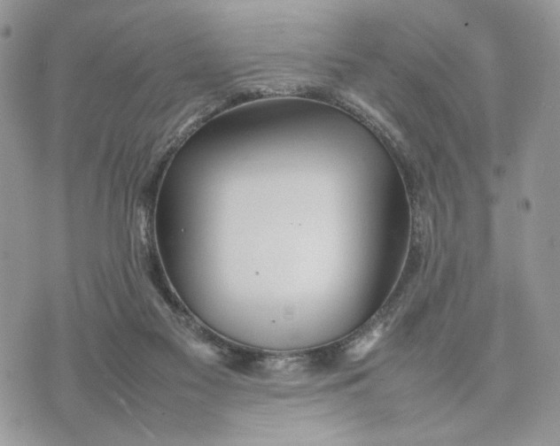 X0000075360117200609291511