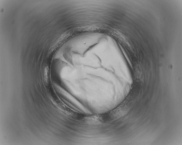 X0000075360118200609291511