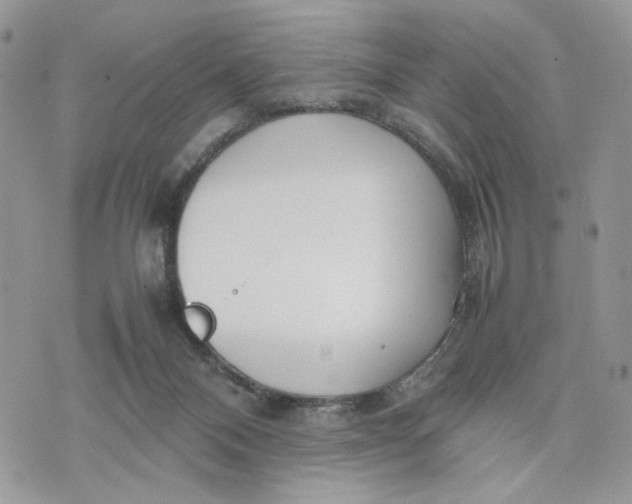 X0000075360120200609291511