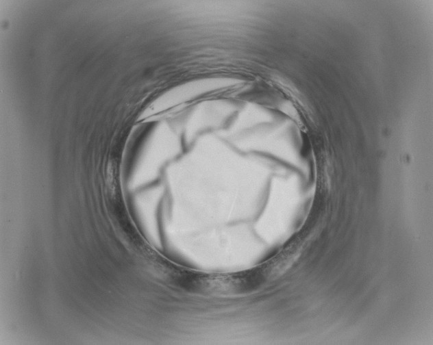 X0000075360121200609291510