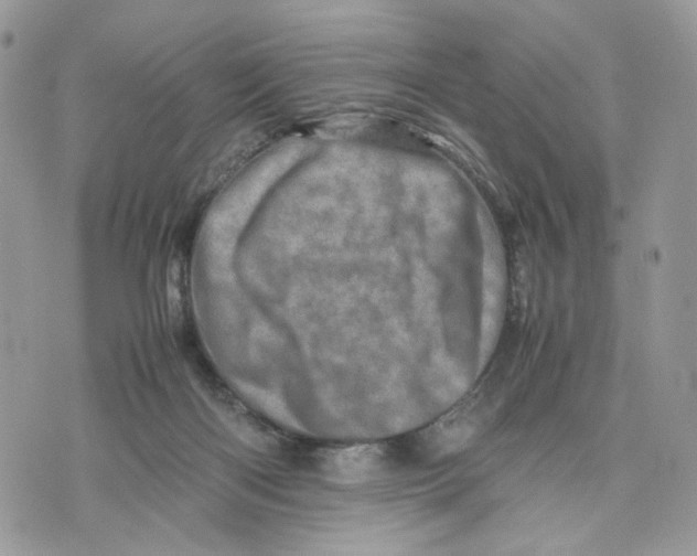 X0000075360122200609291510