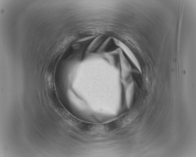 X0000075360123200609291510