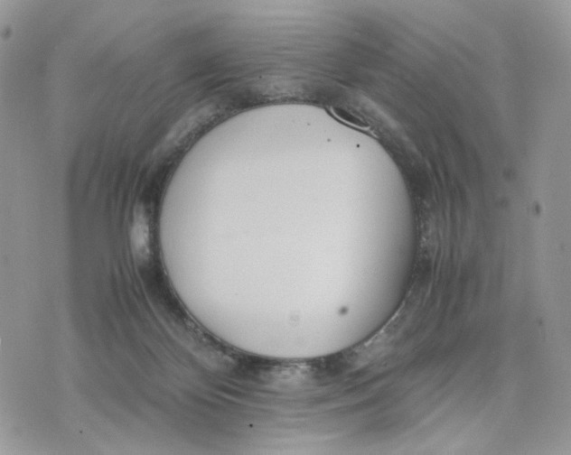 X0000075360124200609291510