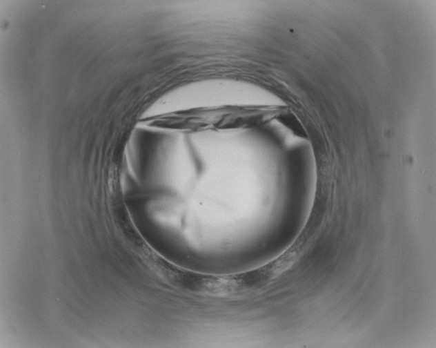 X0000075360125200609291510