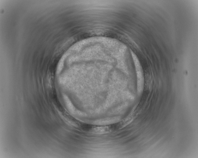 X0000075360126200609291510