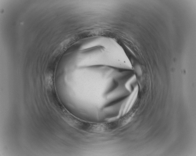 X0000075360127200609291510