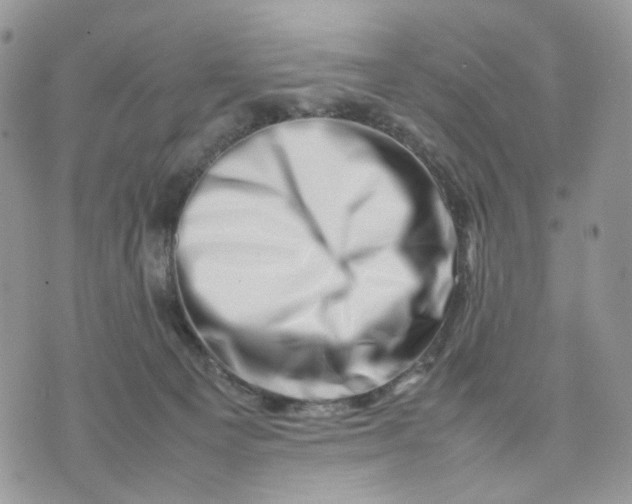 X0000075360129200609291510