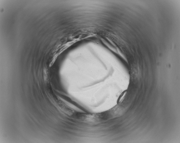 X0000075360130200609291510