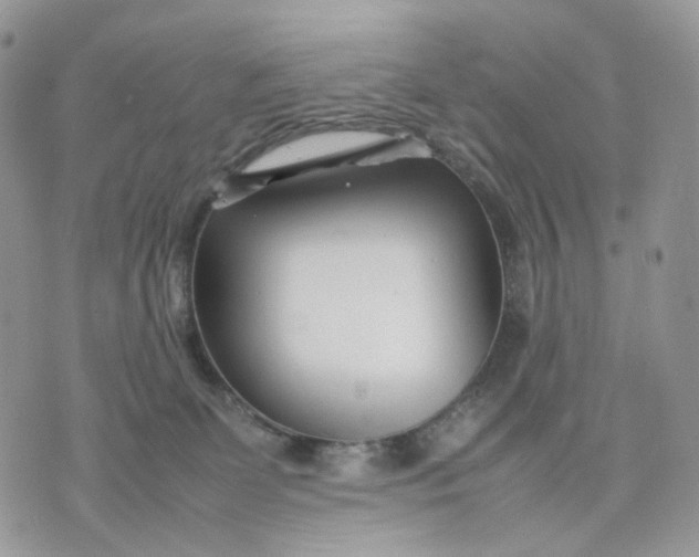 X0000075360131200609291510