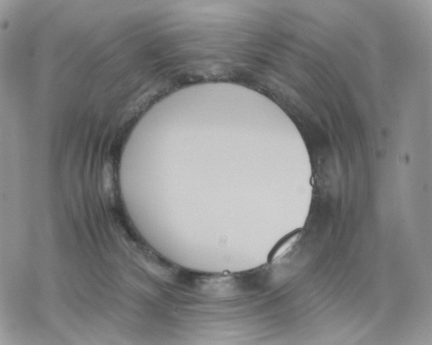 X0000075360132200609291510