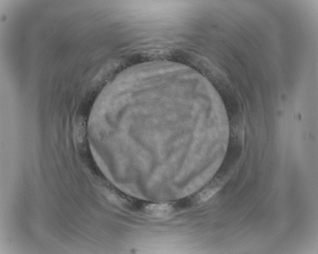 X0000075360133200609291510