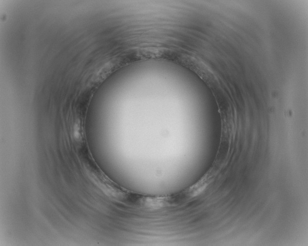 X0000075360134200609291510