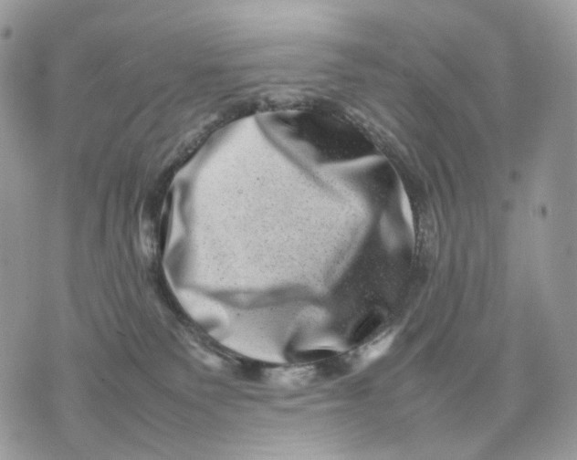 X0000075360135200609291510