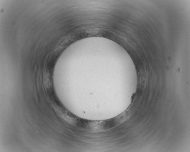 X0000075360136200609291510