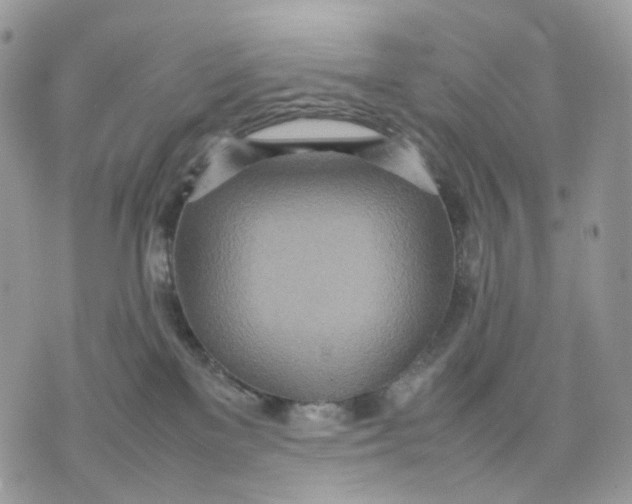 X0000075360137200609291510