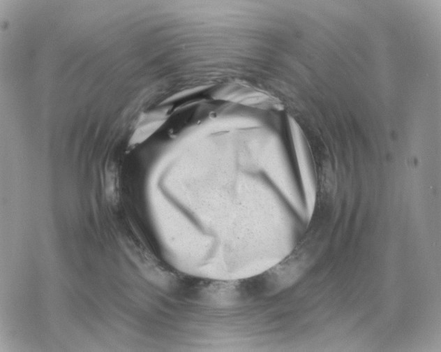 X0000075360138200609291510