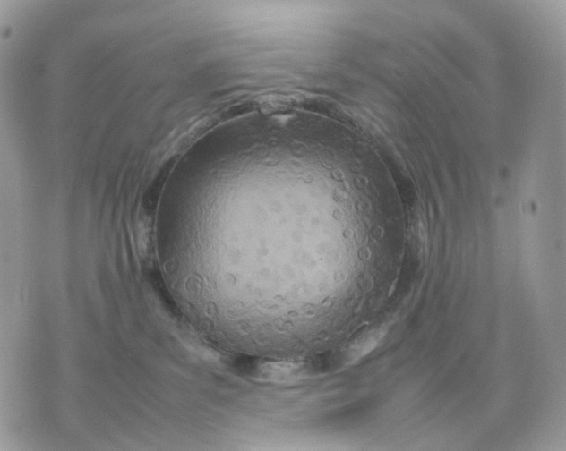 X0000075360139200609291510