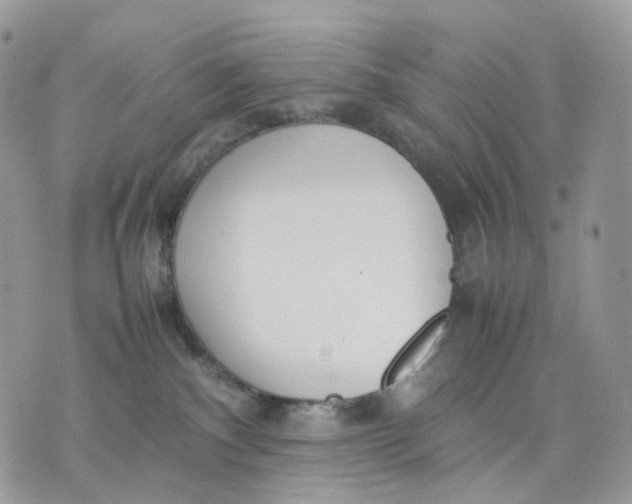 X0000075360140200609291510