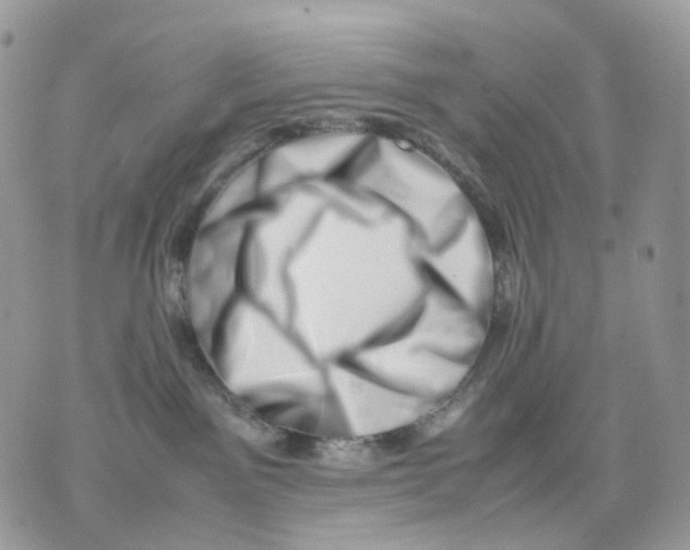 X0000075360141200609291510