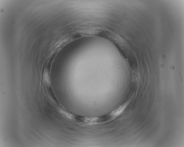 X0000075360143200609291510