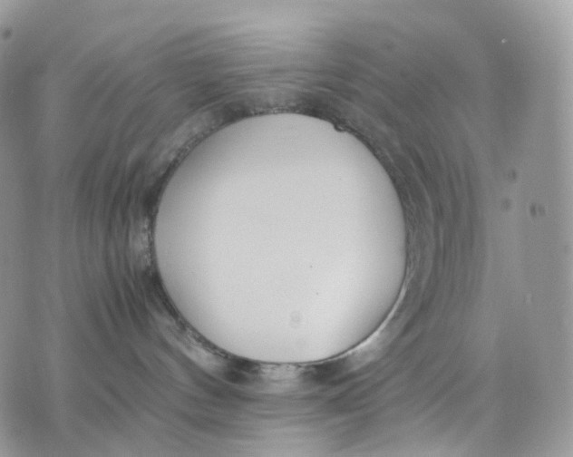 X0000075360144200609291510