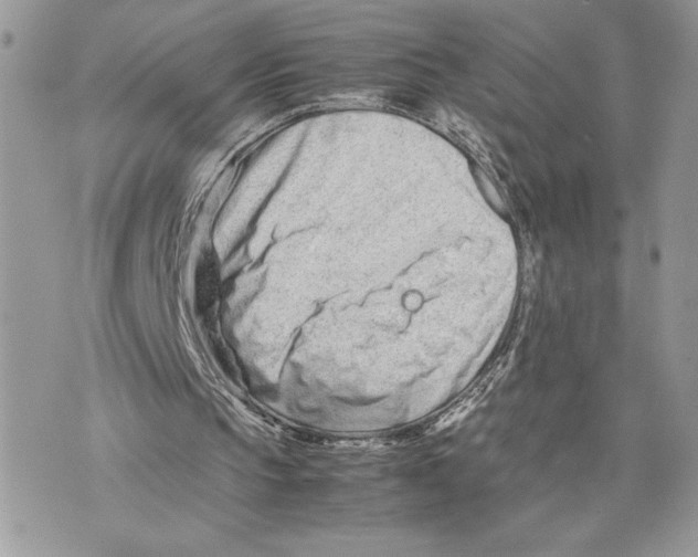 X0000075360145200609291509