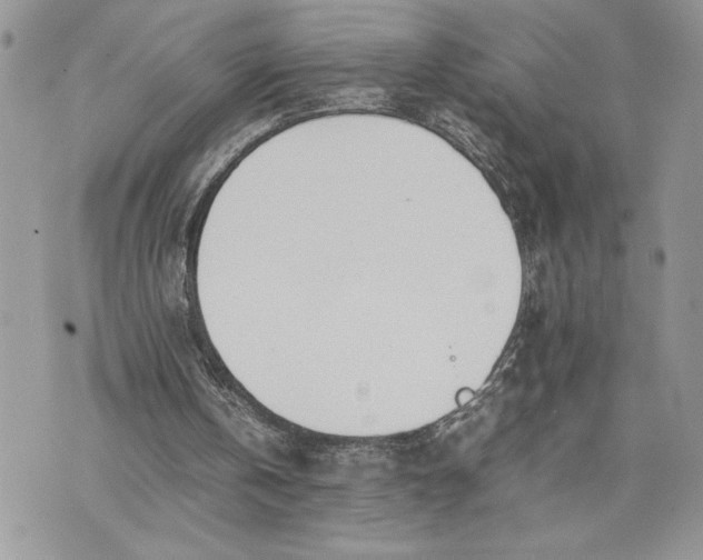 X0000075360146200609291509