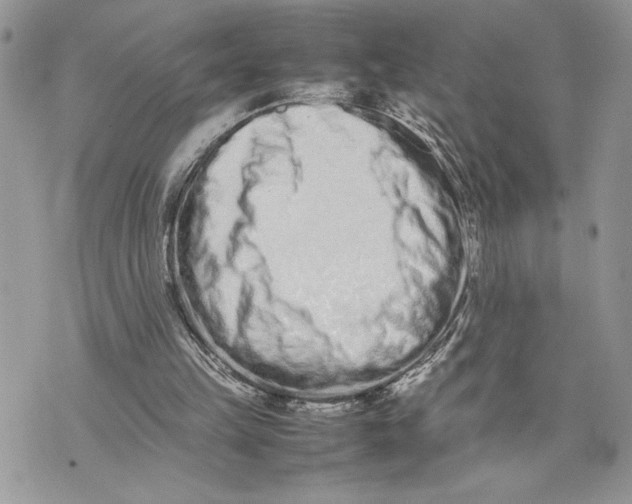 X0000075360149200609291509