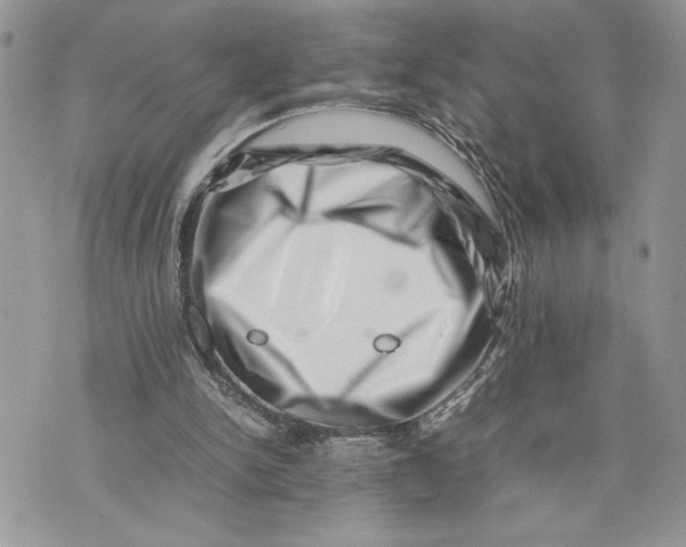 X0000075360150200609291509