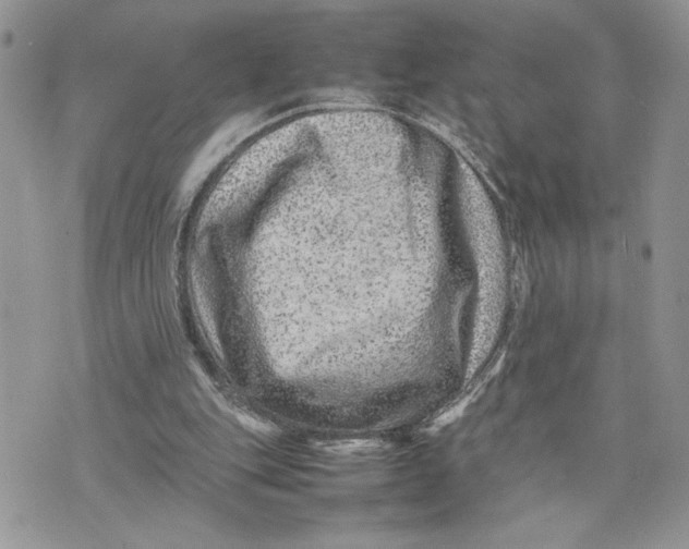 X0000075360151200609291509