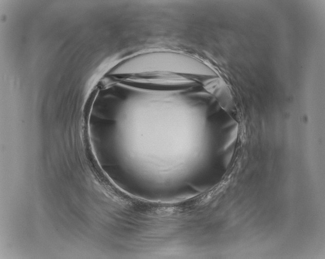 X0000075360152200609291509