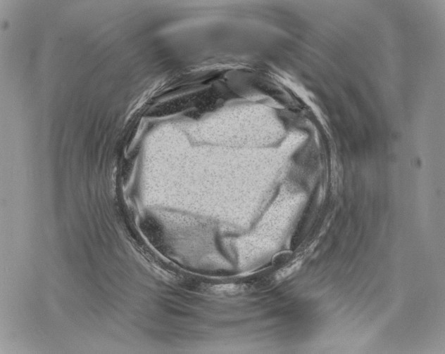 X0000075360153200609291509